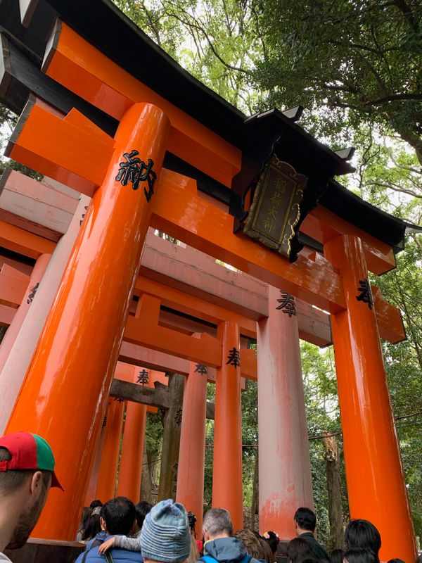 Tuần lễ vàng: Phiên bản Kyoto và Osaka photo