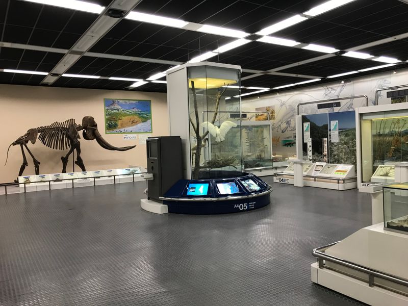Divertimento de viagem de campo: O Niigata Science Museum photo