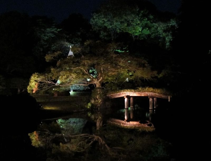 My three favorite autumn spots in Tokyo photo