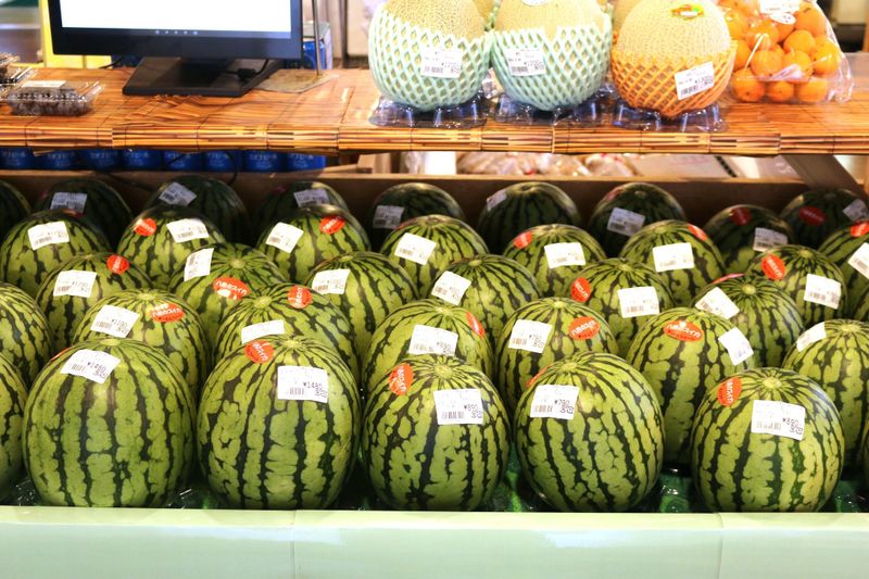 Even bears can't resist Japan's summer watermelon photo