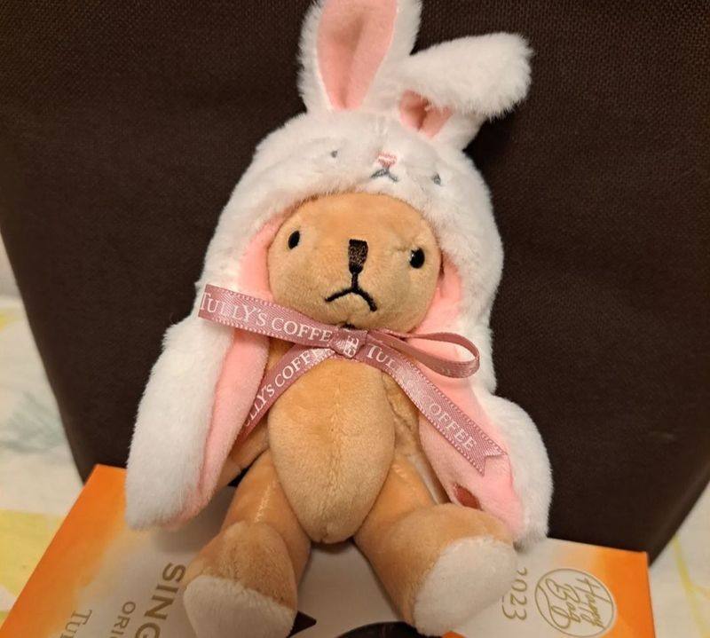 A fukubukuro for coffee lovers at Tully's Coffee photo