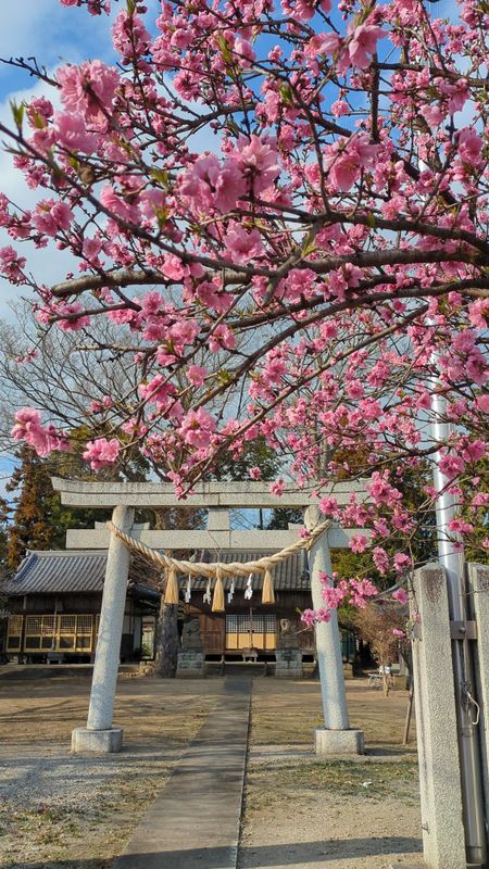 Marking 15 years since the Tohoku Disaster photo
