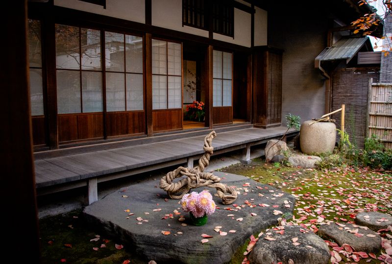 Images of Japan: November 2022 photo