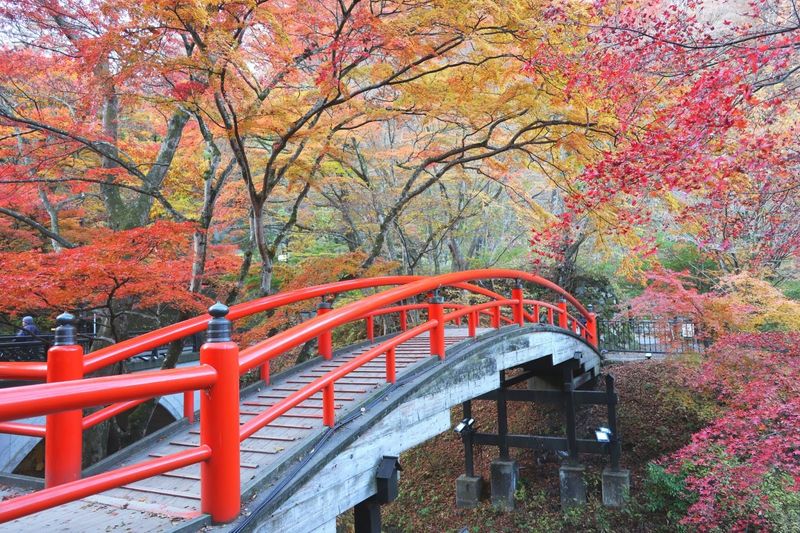 Ikaho hot spring town photo