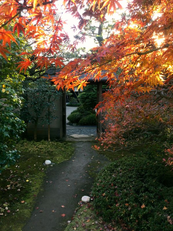 Noda City's secret autumn garden [SPOT REPORT] photo