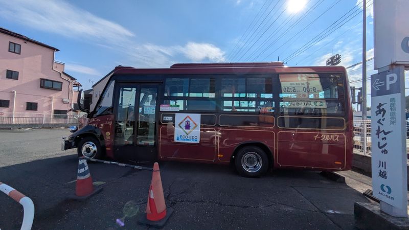 Motion Sickness Prevention Day photo