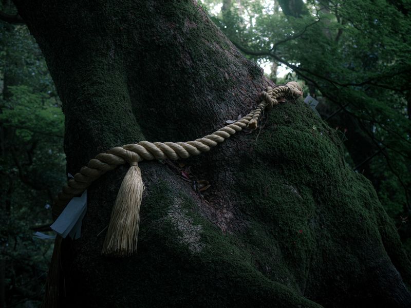 Images of Japan: May 2023 photo