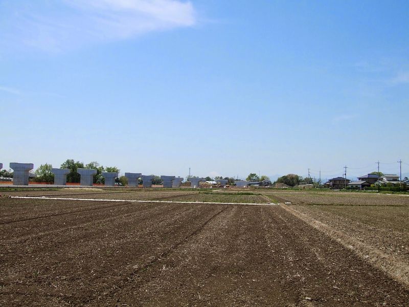 Land Matters More: A tip for buying land in Japan photo