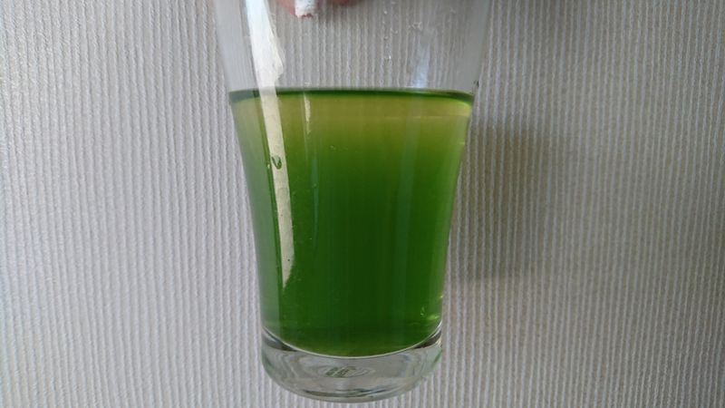 How to use Shizuoka green tea for cocktails! photo