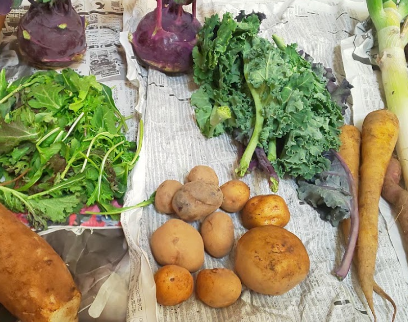 Ringer Hut's Celebration of Vegetable Day photo