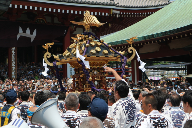 Everything you need to know about the Sanja Matsuri photo