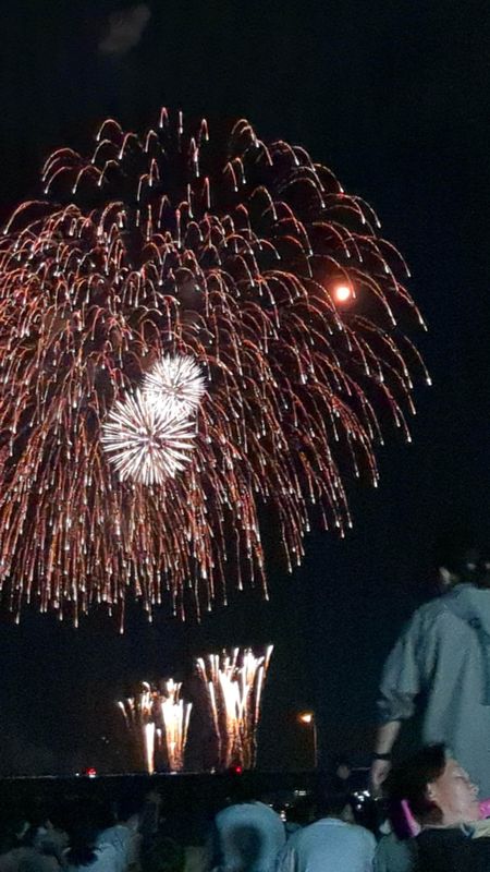 Tobu zoo cancel fireworks further to the Yokohoma incident photo