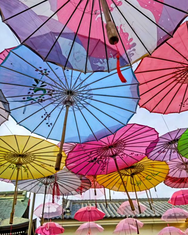 Things I love about Japan's rainy season: umbrella sky displays photo