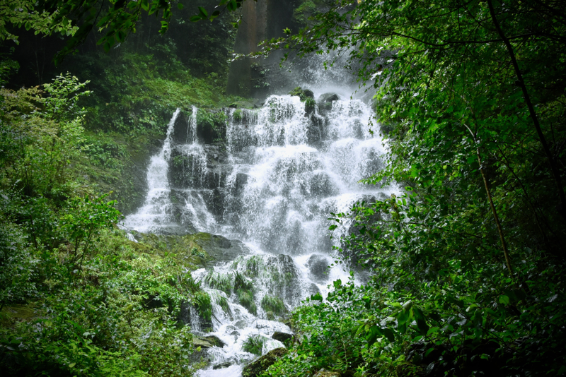 Best travel destinations in Japan in 2020 photo