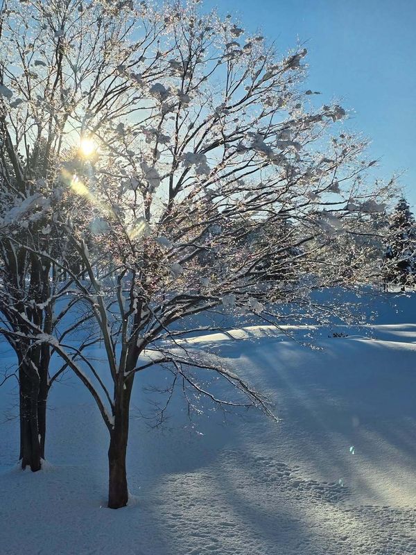 Why December can feel extra stressful as an expat in Japan photo