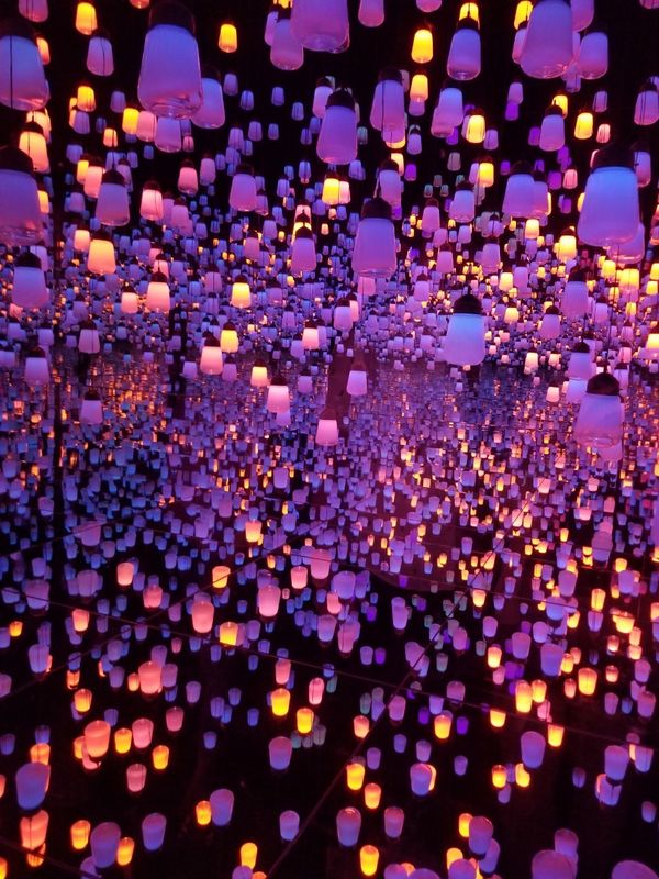 A Few Hours in TeamLAB Borderless (Odaiba) photo