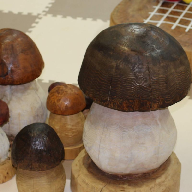 A day for mushrooms photo
