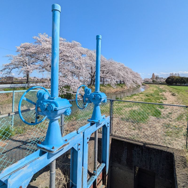 138 years of waterworks photo