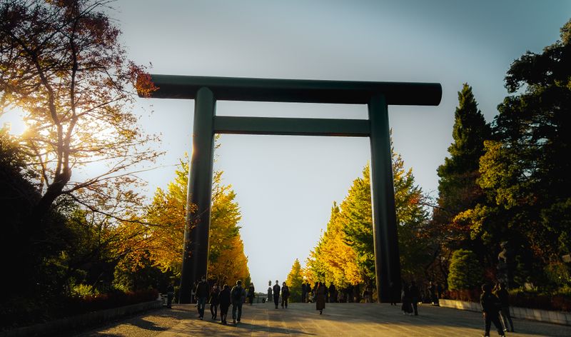 Images of Japan: November 2022 photo