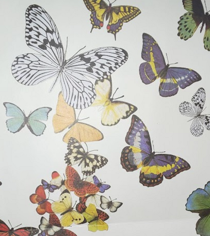 Caterpillars become butterflies photo