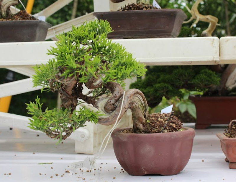 Respect, experience and seniority photo