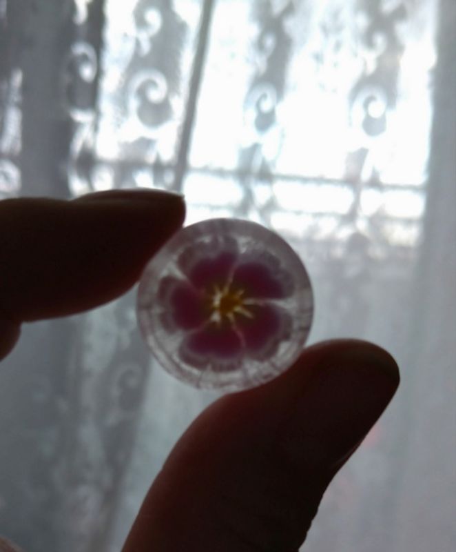 Shiogama Sakura Candy photo