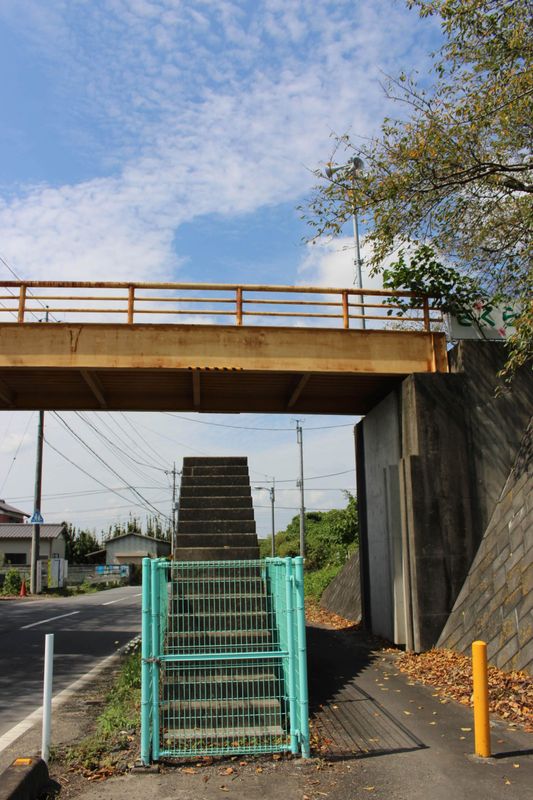 A random anniversary for Pedestrian Bridges! photo