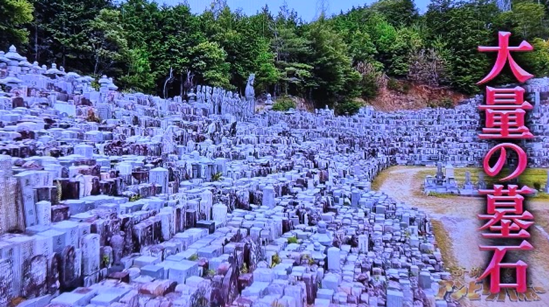 Japan's Graveyard of Graves photo