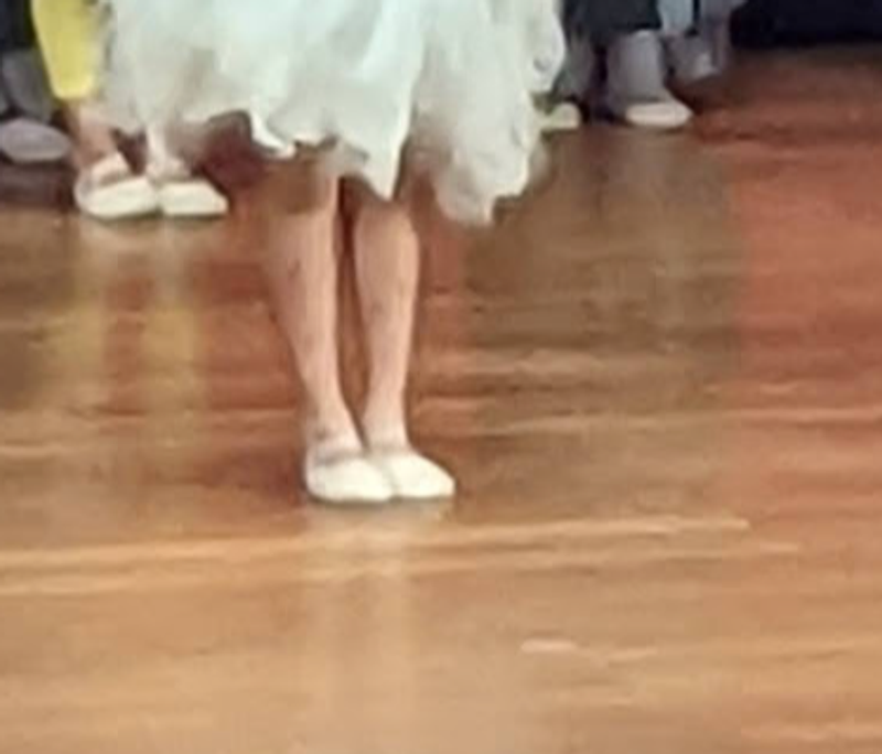 International Dance Day in Japan photo