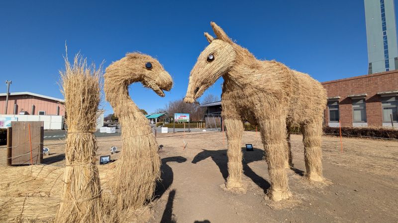 Japan goals: Wara Art Festival photo