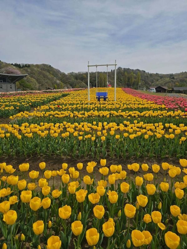 When moving for love isn't as lovely as it seems photo