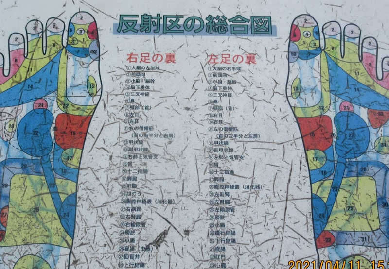 A day for "Shiatsu", Japanese acupressure photo