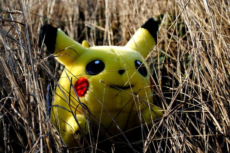 News: Robbers and Dead Bodies, How Will Pokémon Go, Go Down in Japan? photo