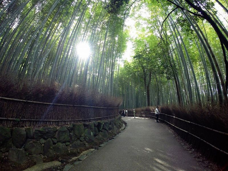 Sobrecarga do santuário e do templo? 5 coisas alternativas para fazer em Kyoto! photo