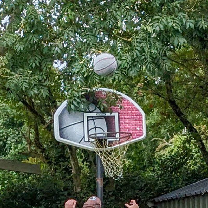 Basketball day in Japan photo