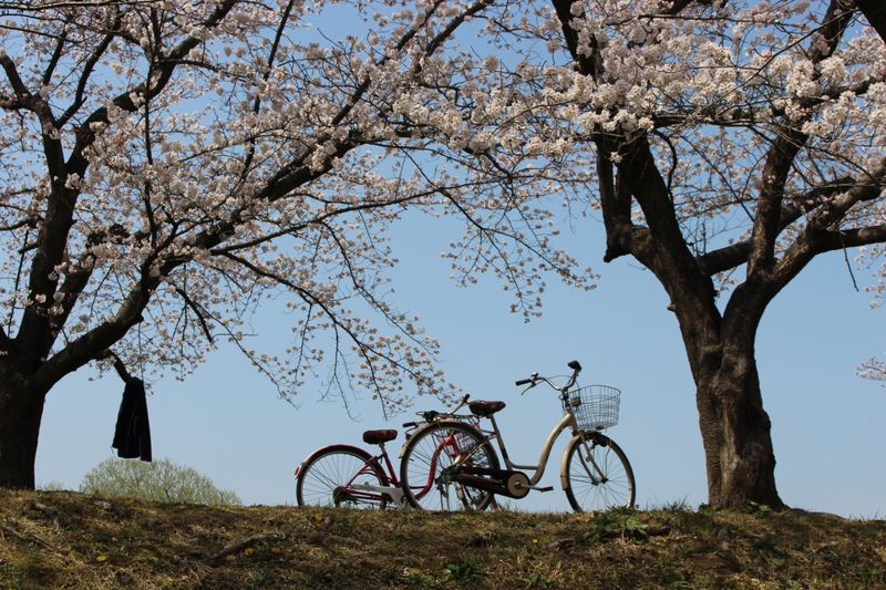 Spring Nationwide Traffic Safety Campaign photo