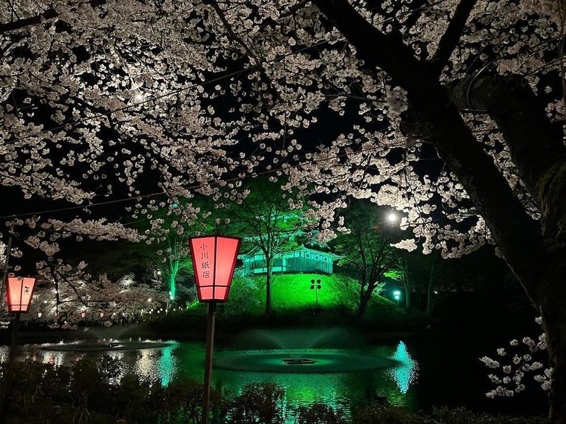 Sakura beauty after dark at Niigata's Takada Castle Park [SPOT REPORT] photo