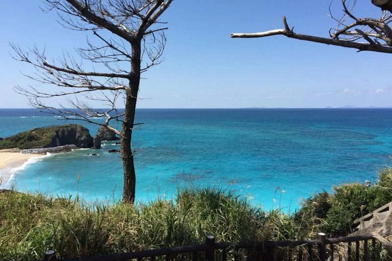 Where do Japanese school students want to go for school trips? photo