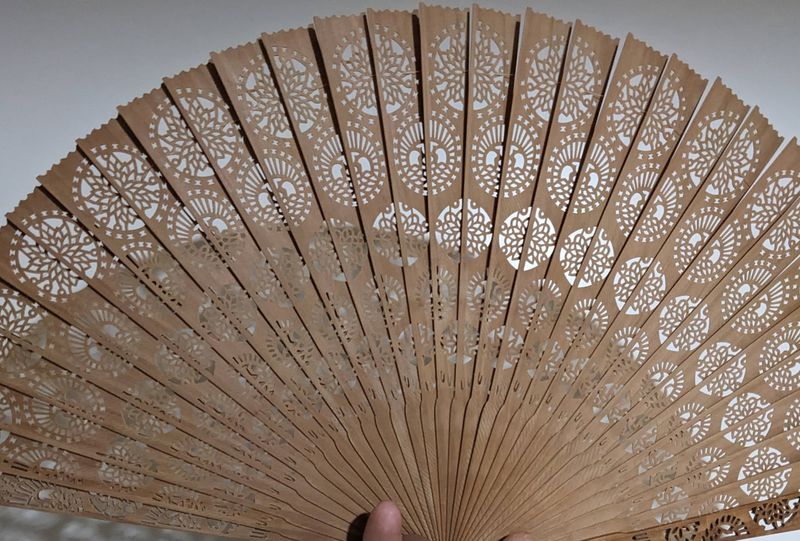 Another Reason to Use a Folding Fan photo