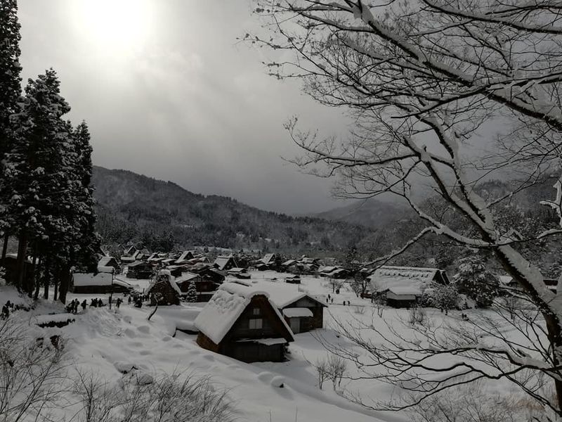 冬の村への訪問...スノーヘイブン photo