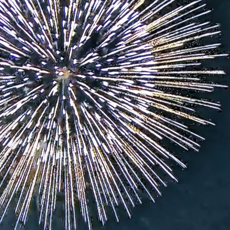 Urawa Misono Railway Festival with fireworks photo