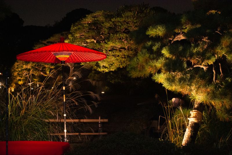 Images of Japan: November 2022 photo