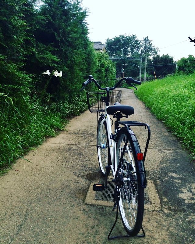 A leisurely Saitama bikeride photo