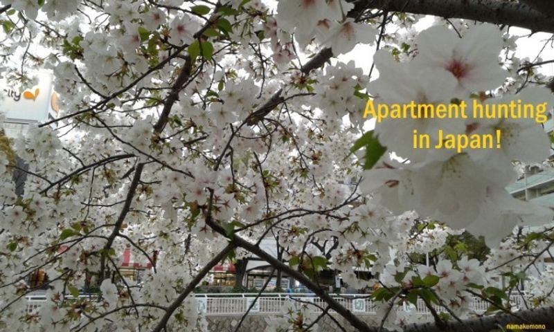 あなたのために適切なアパートを見つける！ photo