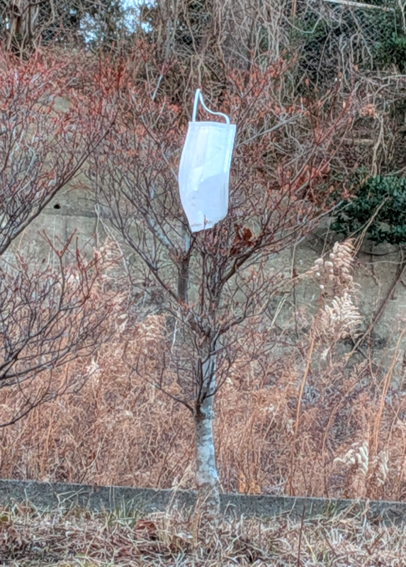 Still Masking? photo