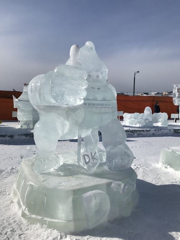 Things I didn't try early on: Going to an ice festival photo