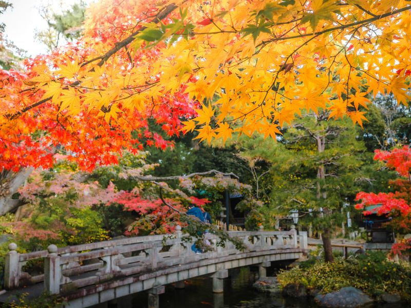 Images of Japan: November 2022 photo