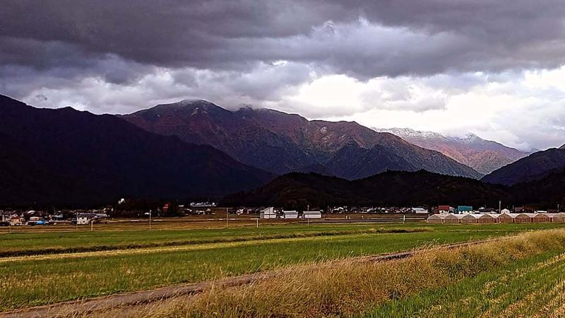 Still in Japan in 2027? It might be another bad bear year photo