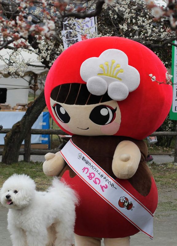 Umerin, the adorable mascot of Ogose Town photo