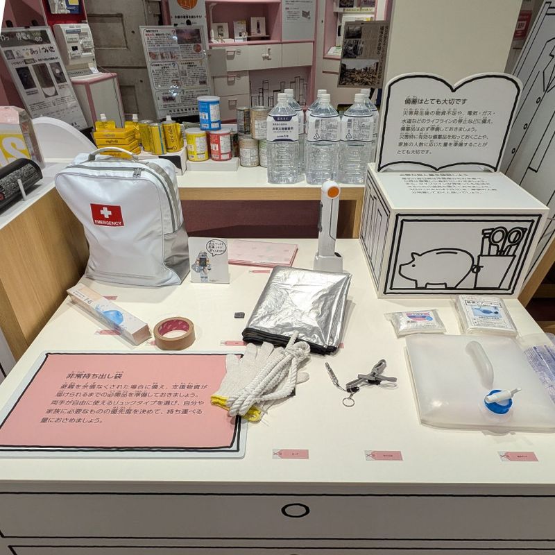 One of four Disaster Preparedness Supply Inspection days photo